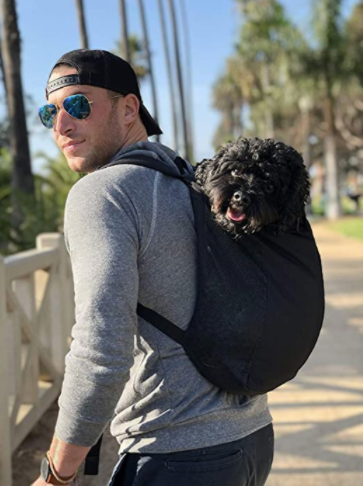 dog backpack carrier